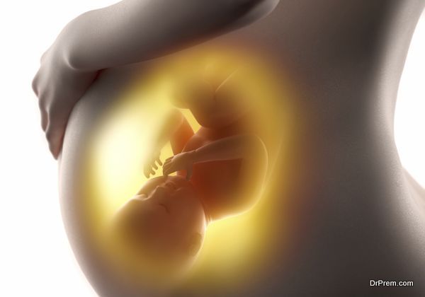 Pregnant woman with fetus 3D concept