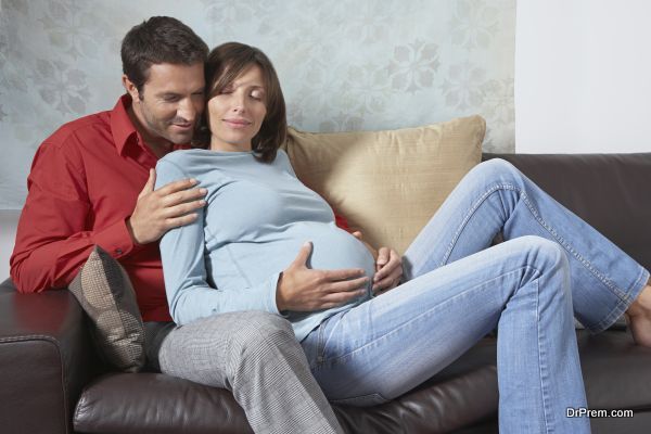 Pregnancy Pillows (3)