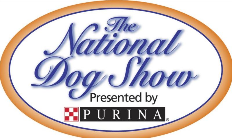 The 2019 National Dog Show