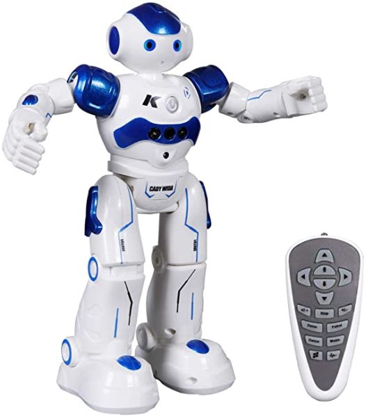 RC Robot